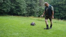 Hundeausbildung 